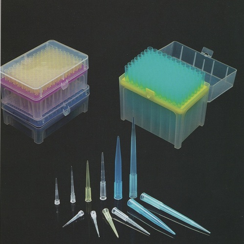 ���^����Һ�����^�����^